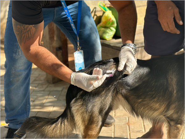 Prefeitura do Crato promove mais um Dia D de Vacinação Antirrábica em diversos  [...]